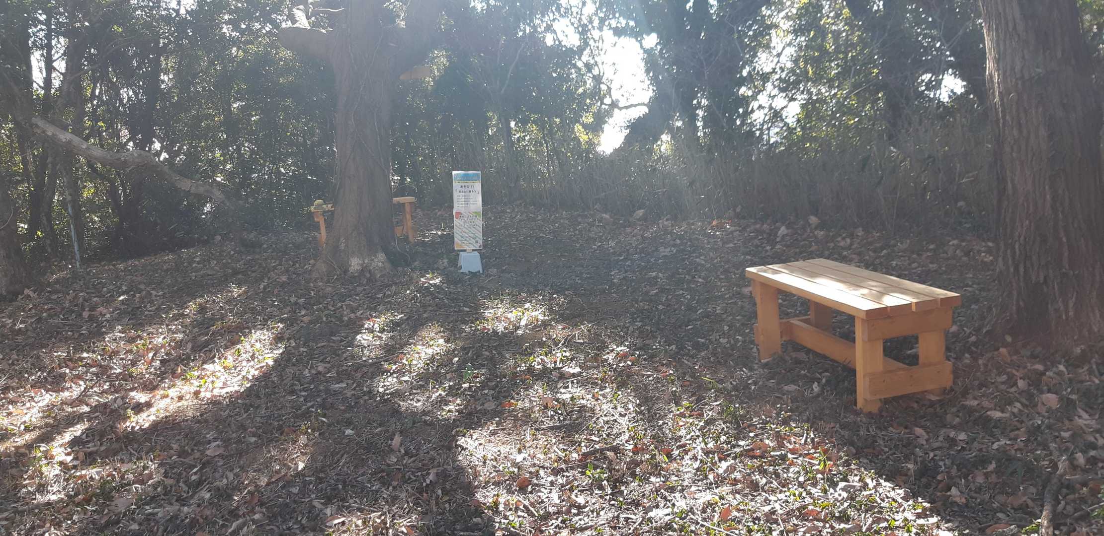 呆気なく田土山山頂に着いた⛰️