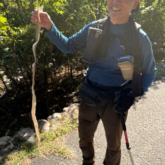 蛇の抜けガラ完全体
しかも抜けたて感漂ってる
首に巻きつけて宝くじ買いに行って下さい❗️