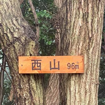 西山96m