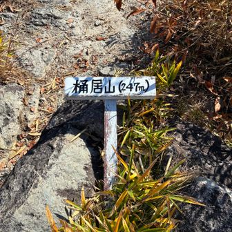 低い割に存在感ありの桶居山到着