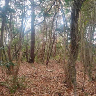 北黒五山もついでにピークゲット