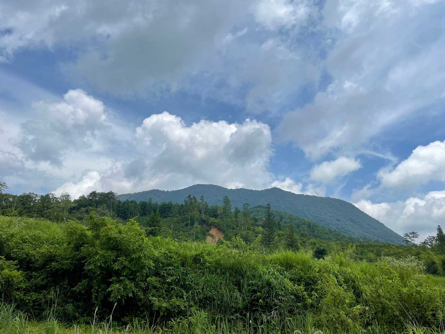 見上げると龍頭山。
いい山だぁ✨楽しかった。ありがとう~