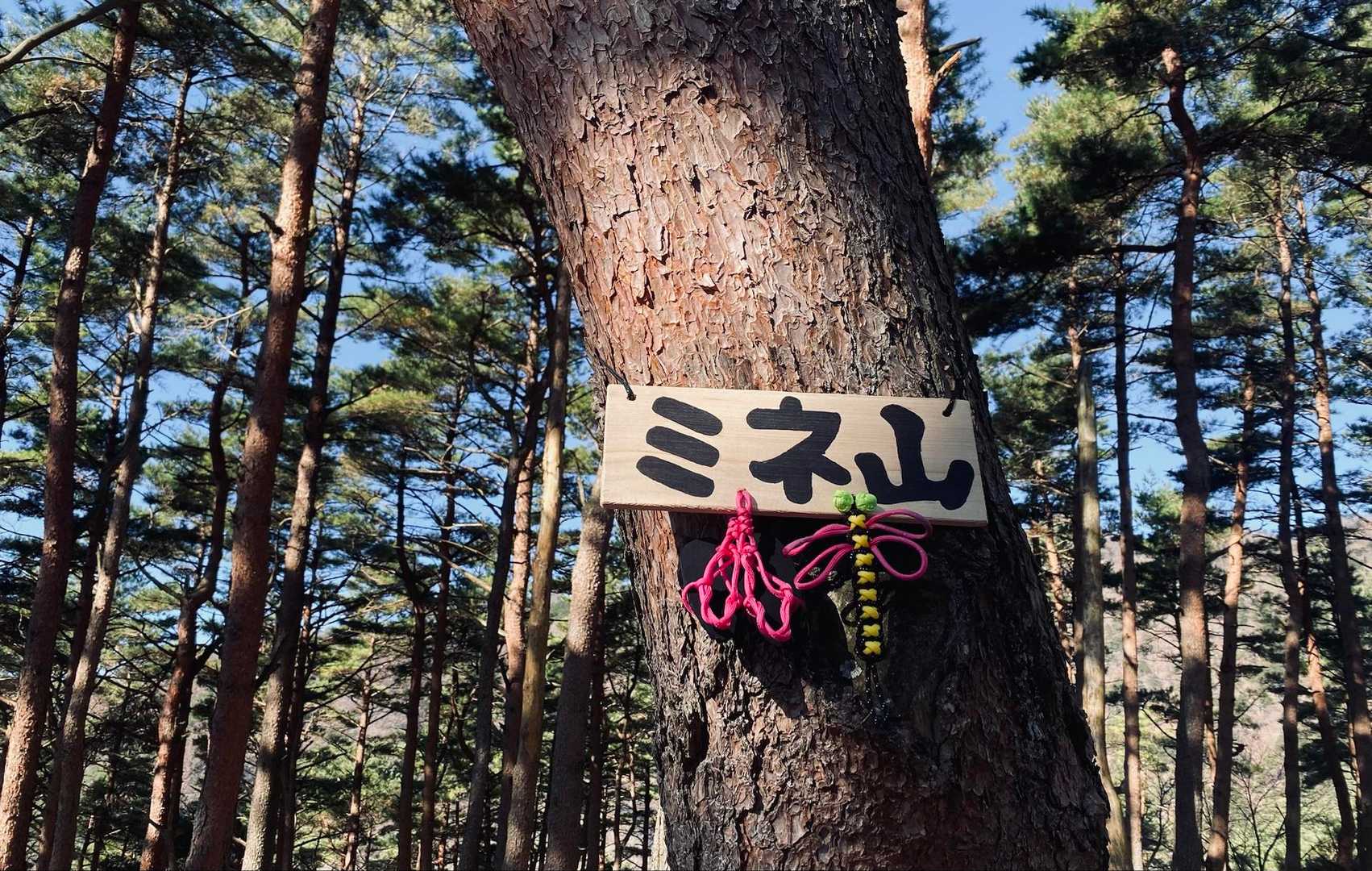 まずはおしゃれに飾り付けられたミネ山⛰️
トンボとサンダル🩴w