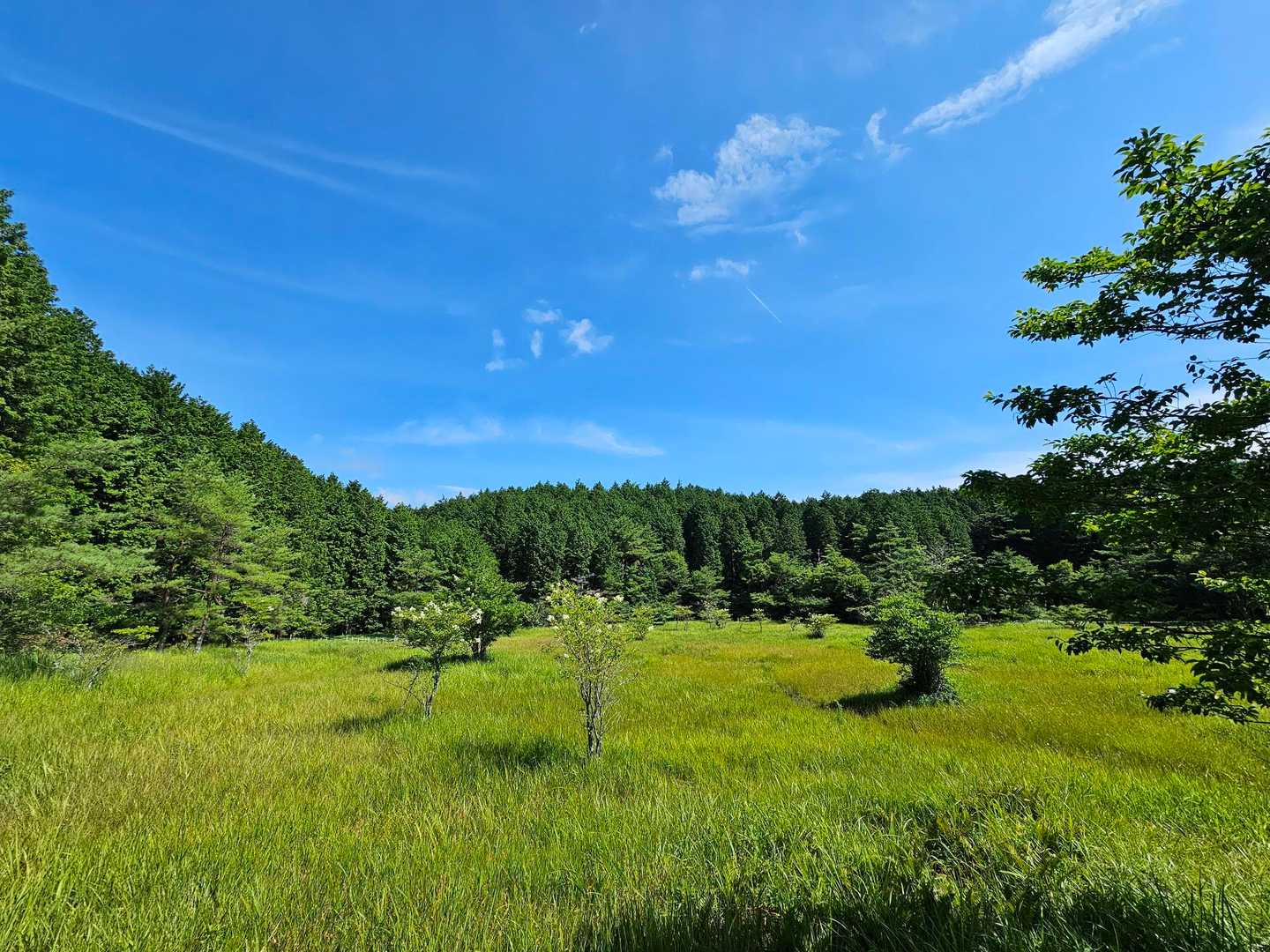 青空💙最高😍💓💓