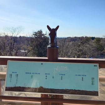 今年は、午年です。