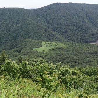 今日は比婆山古道は通らず登り返し💦
時短ルートをさあ行くよ💨
（烏帽子から来た道を折り返す。）
