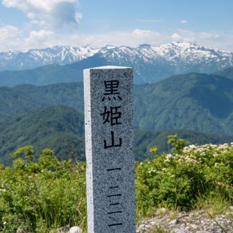黒姫山▲1221m

日本三百名山。
一等三角点有り。

山頂は天国👍️
