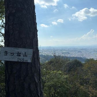 　きつね山⛰️の由来は何だろう？って考えてます。普通は、かつてキツネ🦊が見られたことに由来する山と思われるが、ココからそう遠くないところにある六道輪廻ヶ岳⛰️が以前テキトーに名づけられた山だと知ったことからココも案外テキトー？

　『キツいネー、この山』からだったりして…😅

　いやいや、そうは考えたくない。夢がなくては…😁。実は最近、少し離れたところにホンドリス🐿️が現れて地元のヤマッパの間で話題になっている。意外にココも考えられる🦊ゾ。