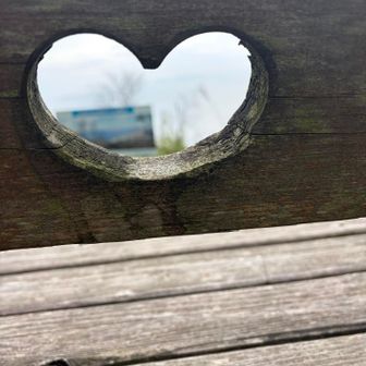 景色がいい場所には
椅子があって
ハート形に彫ってあった