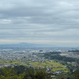 三好山山頂からの眺め：生駒山地と右手にあべのハルカスが見えます