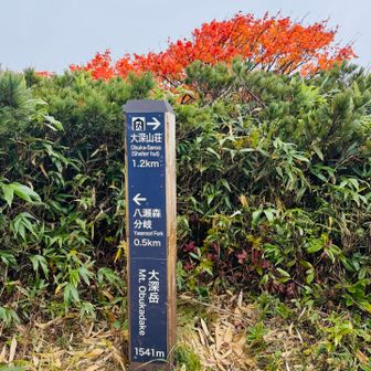 大深岳　1541m

まだガスガス💦
次行ってみよ〜💪
