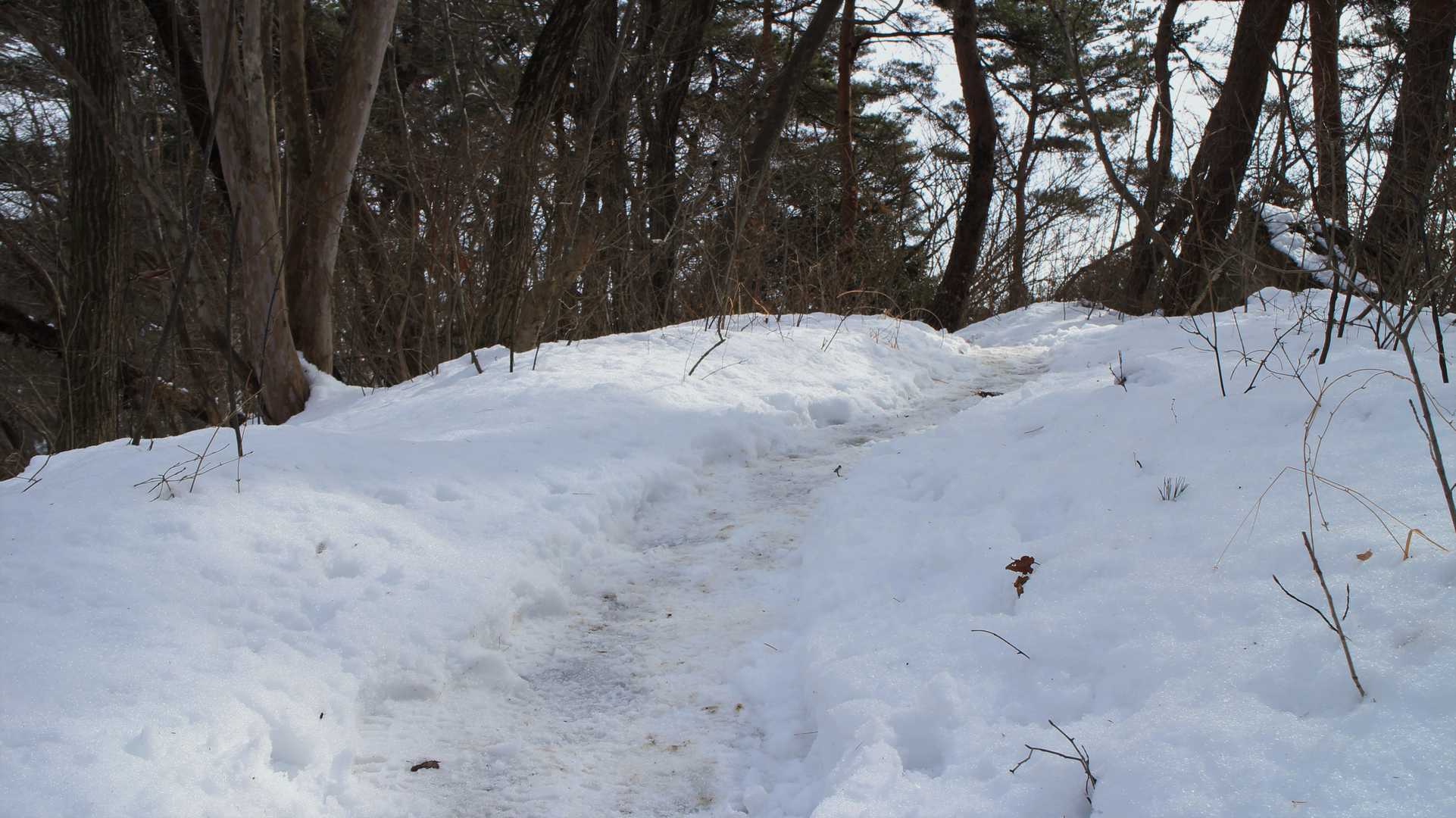 雪が増えてきました。
