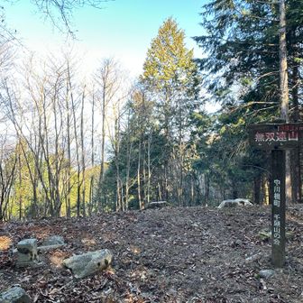 無双連山登頂～眺望なし