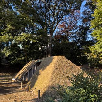 庚申堂鴨場の小覗その2。