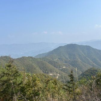 少し開けた所もありとてもいいお山です♪
久しぶりのプチ遠征のnaoちゃんと良いお山に来られて良かった🥰
