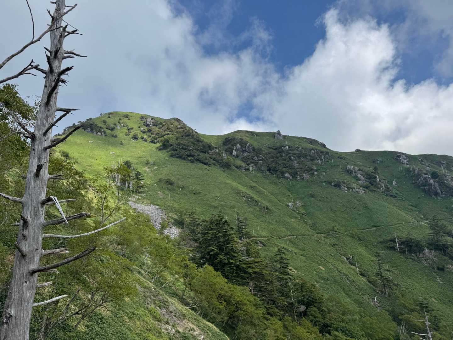 見ノ越登山口-ジロウギュウ峠-次郎笈 往復コースの写真