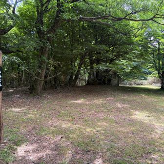 崩れかけの小屋が気になる🫣
