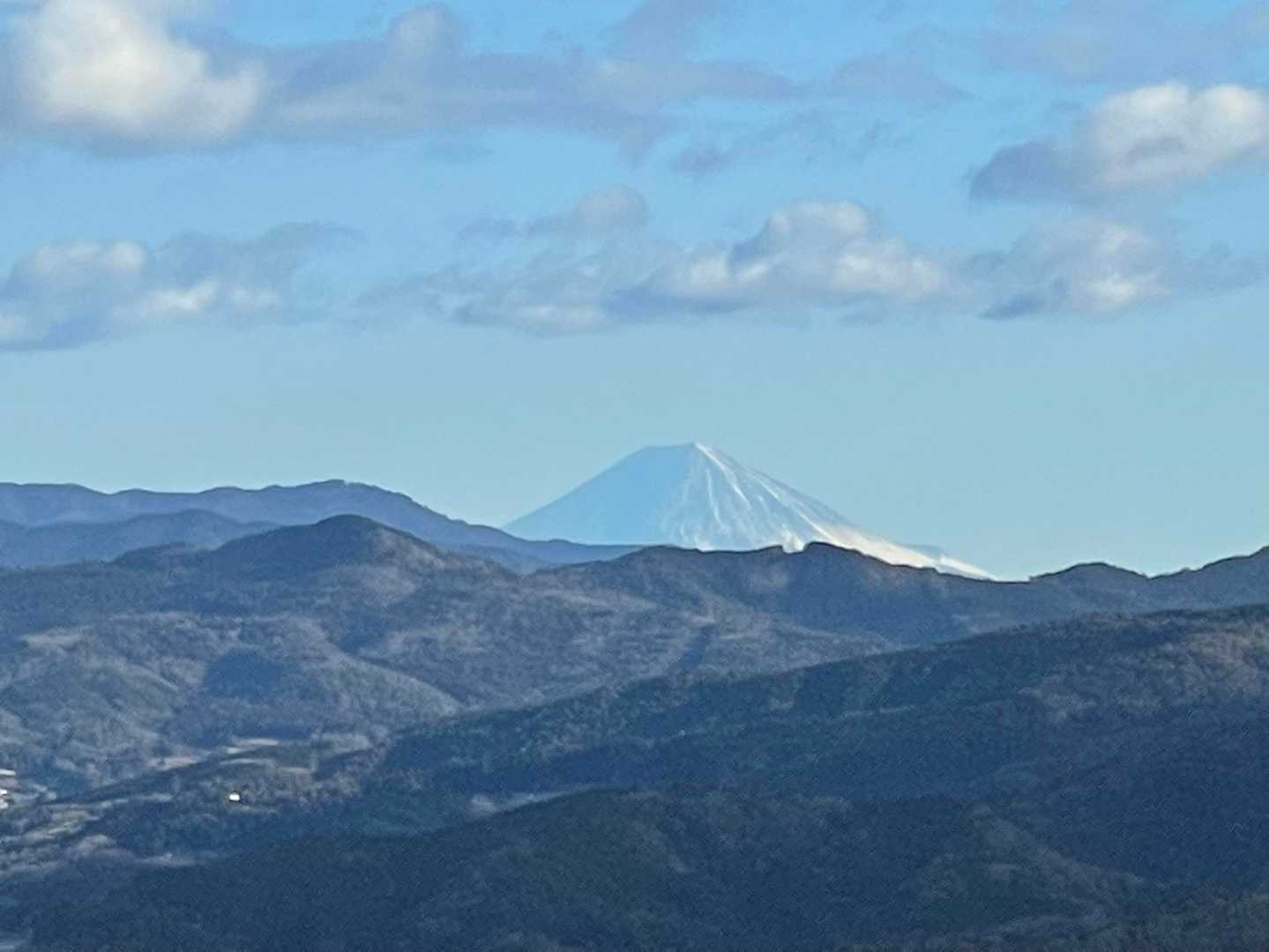 期待を裏切りません