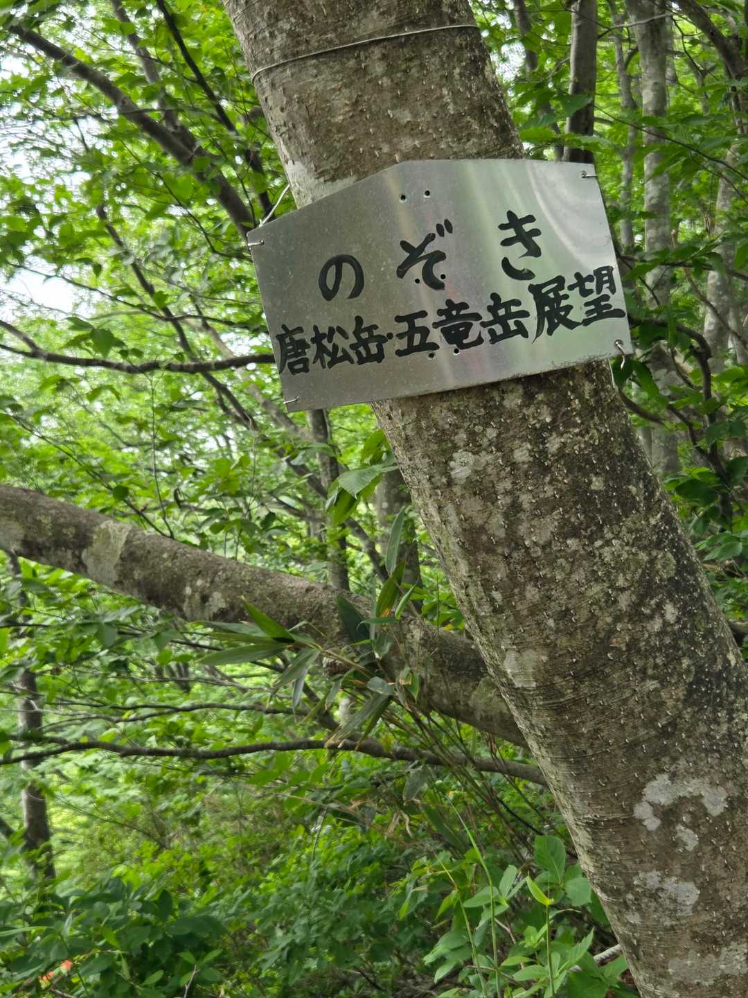 2番目ののぞき　唐松岳､五竜岳展望｡