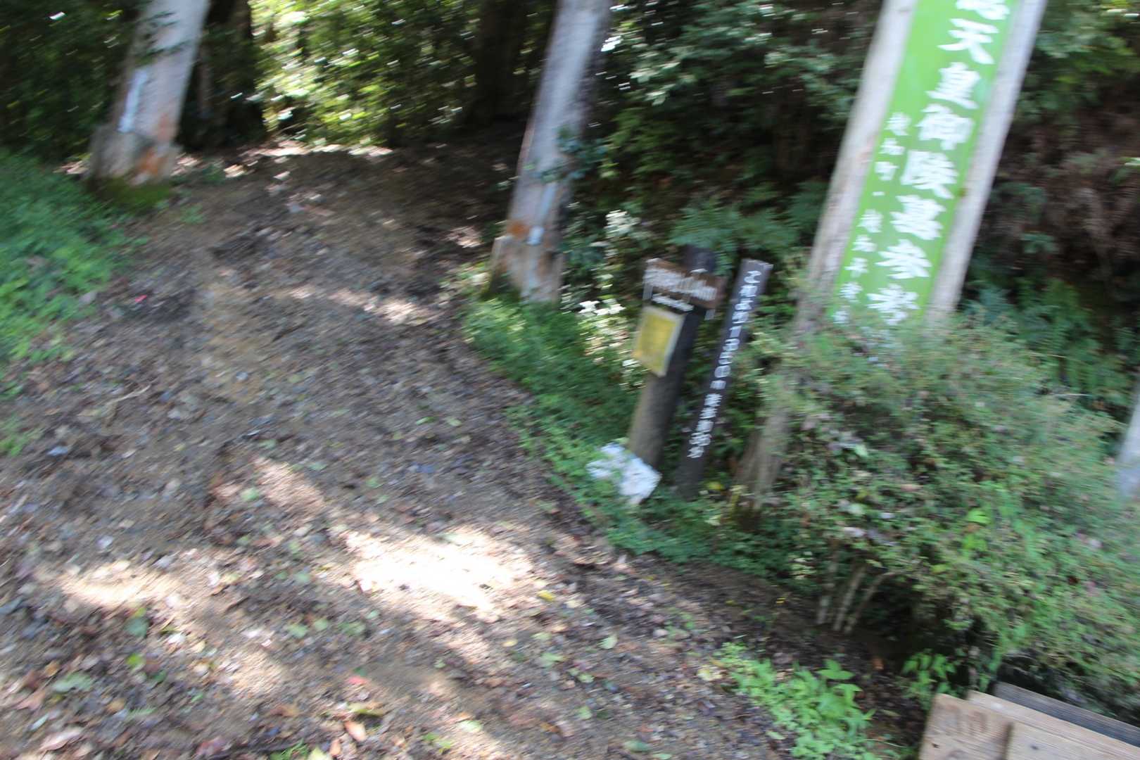 遅めのスタート