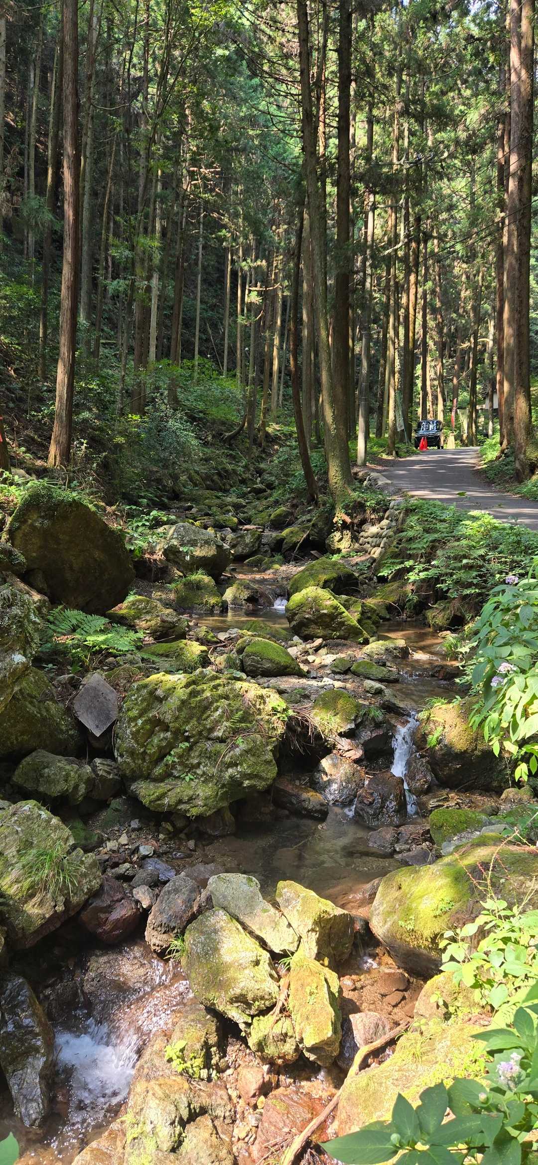 太平山-顔振峠 周回コースの写真