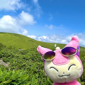 ずっと歩いていたくなるくらい良い景色でした