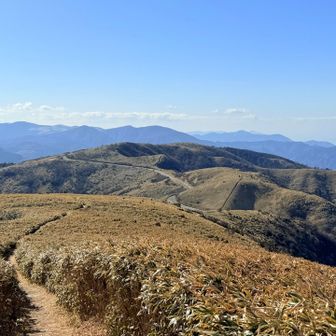魂の山方面
こっちも爽快なトレイルが続く
