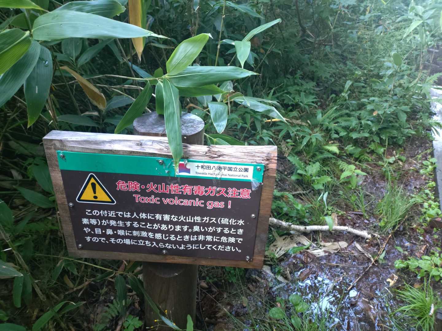 火山ガスに注意なそうな