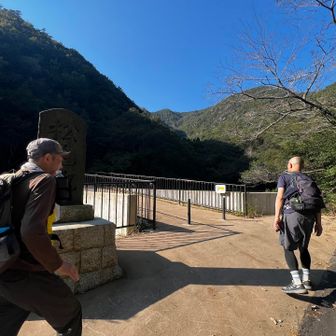 劇下りで
松尾池まで降りてきました