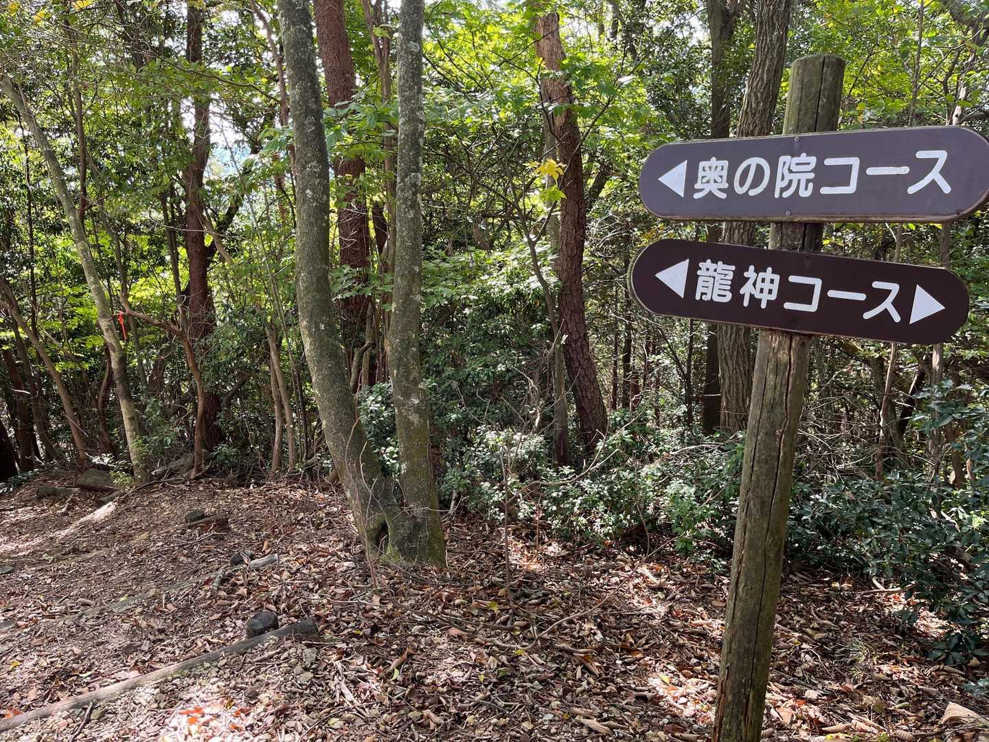 ジャレジャレ道なのでゆっくり慎重に降りましたが