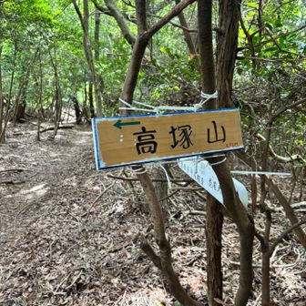 醍醐寺のすぐお隣、長尾天満宮から登って到着〜。

そうですね　ここが山頂ではありませんね😅
山頂プレートまであと15mくらい