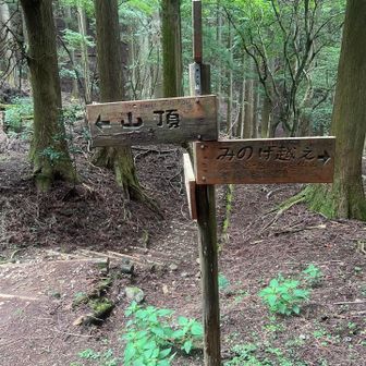 1700メートル。こっからがキツい😰