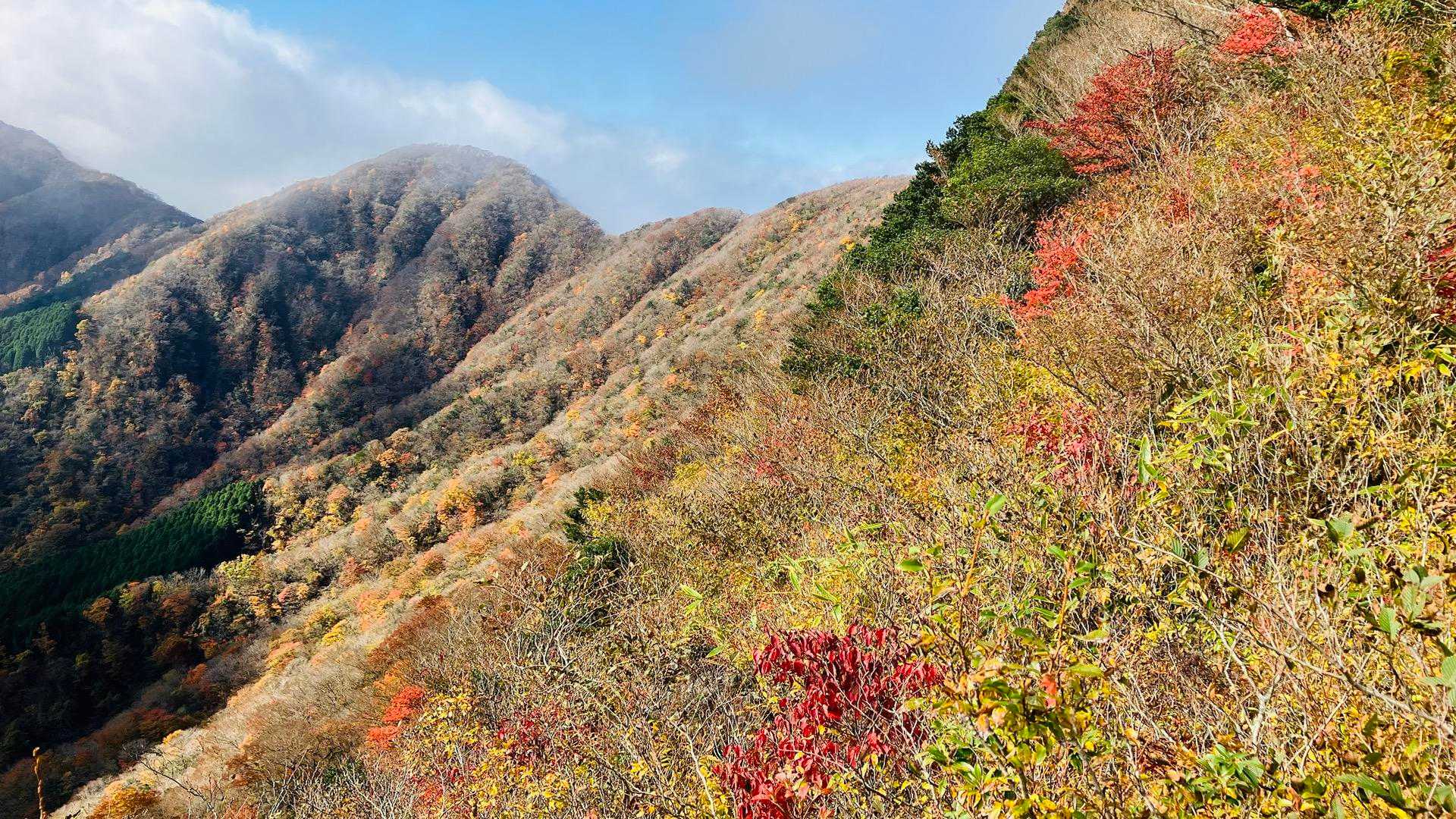 開けたところから向こうの山々が見えた
山の姿も秋から冬へ