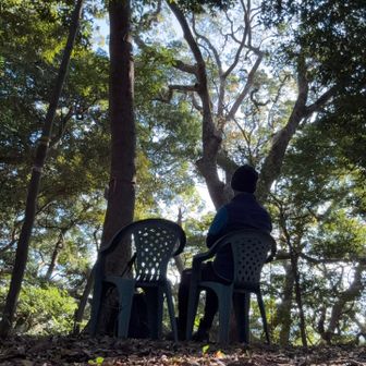 右で佇んでみた🪑