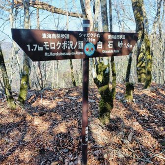 シャガクチ丸
疲れが出てこの付近キツイ😅💦