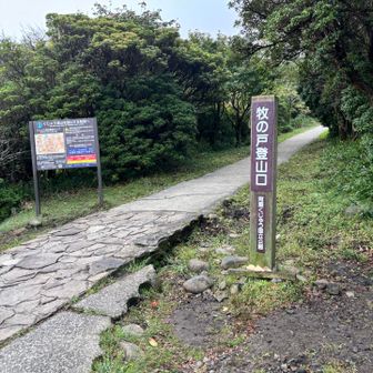 Pが満車🈵…とは想定内。やっと路肩探し当てていざ出発です♪