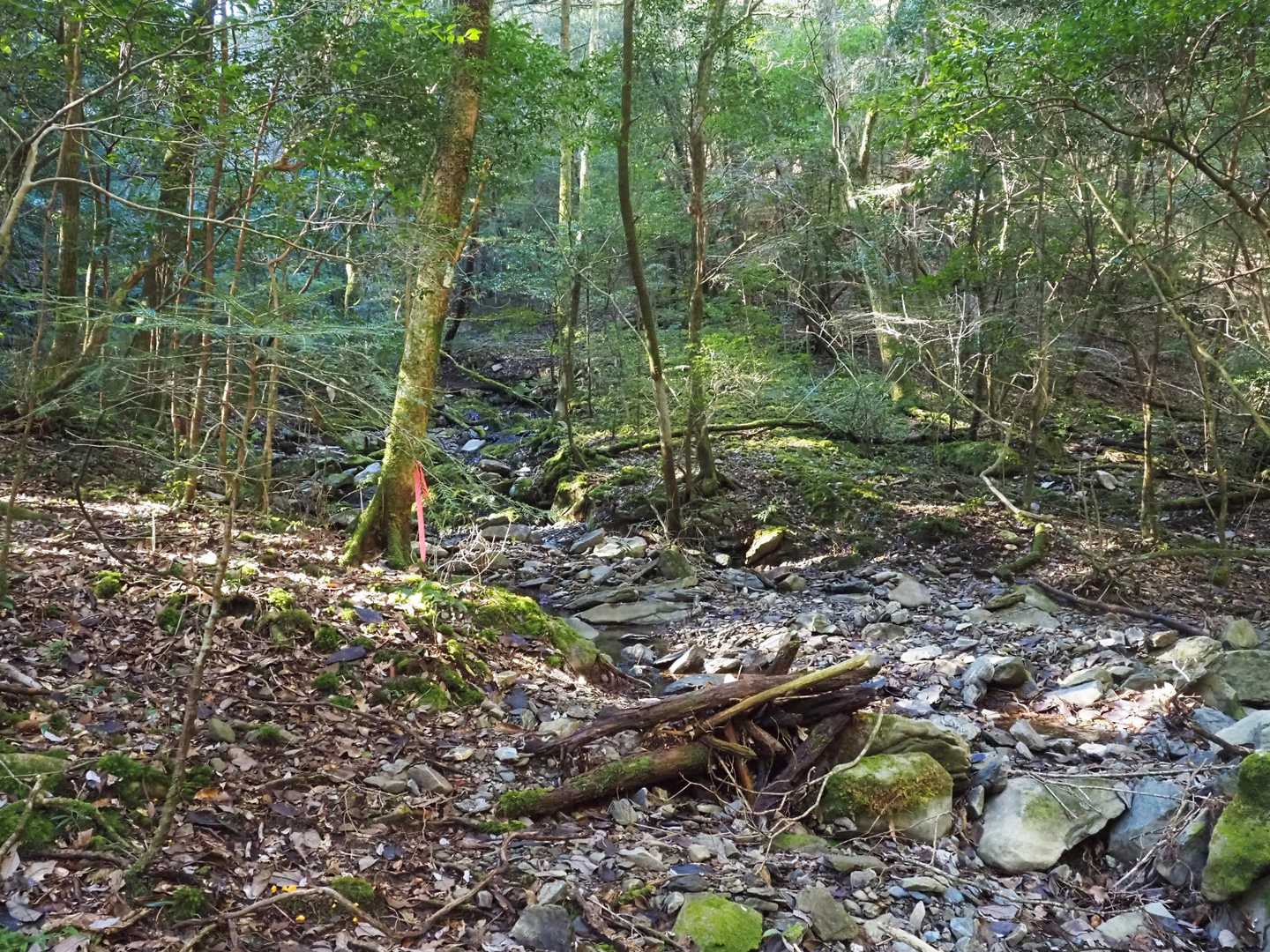 登山口から１､２分で渡渉
沢の左岸（右側）を沢沿いに登っていきます