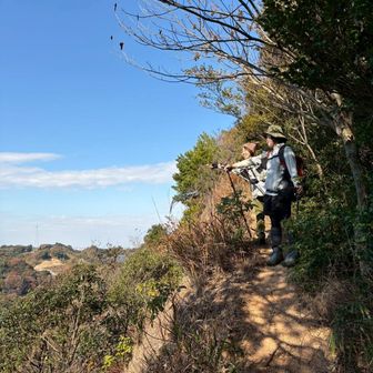 細尾根を下る💦