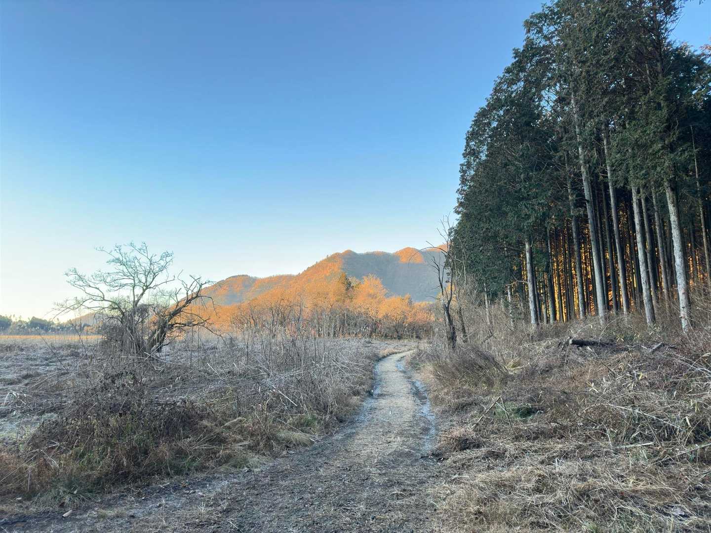 マイナス8℃
吐く息で髪の毛が凍りました❄️