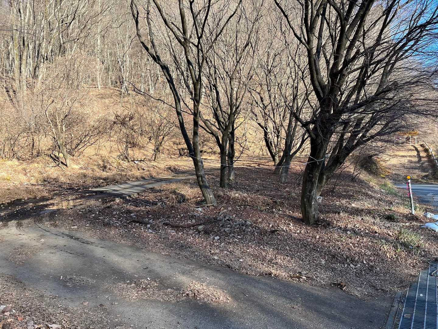 西登山口に到着
あとは車道を歩いて駐車場戻ります。