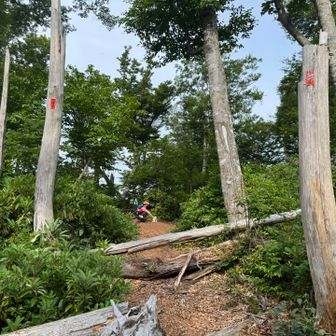 もう少し先の三角点があるところが山頂⛰️