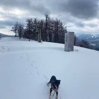 とうちょー
(ゆ)曇ってきたね