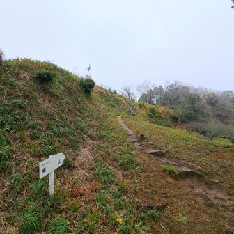 ポイント3
では、まずは東山へと向かいましょう
階段が設置されています
