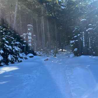 国道に戻ってきました。