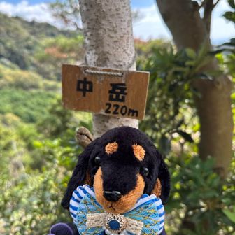 中岳☺️