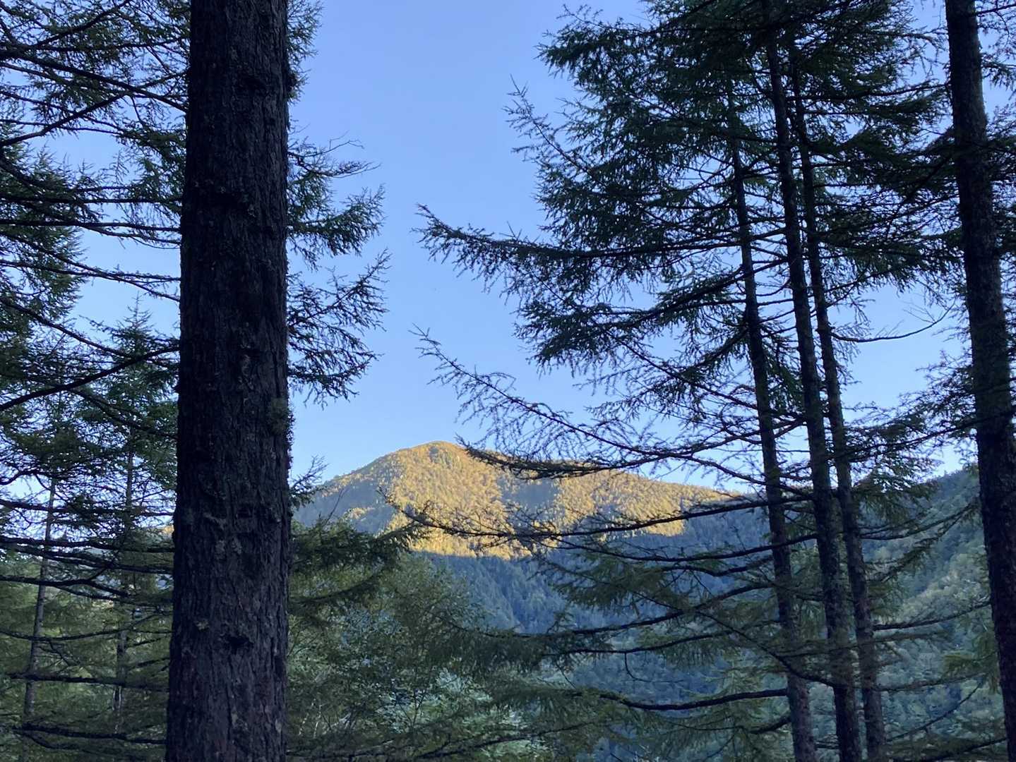 朝日が☀️