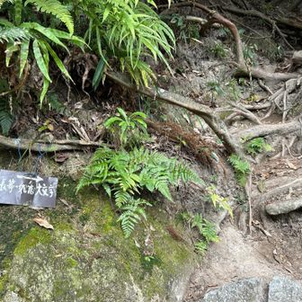 見逃しそうな登山口です😁
では🙋‍♀️ let's go ‼︎