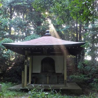 極楽への道