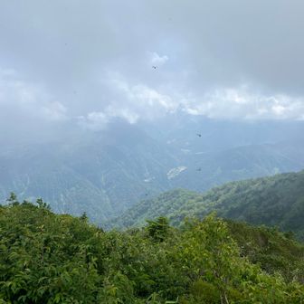 剱岳もガスの中
立山や薬師岳など、絶景を期待していましたが残念