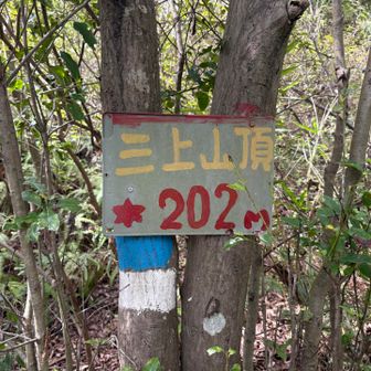 いきなり山頂表示😳